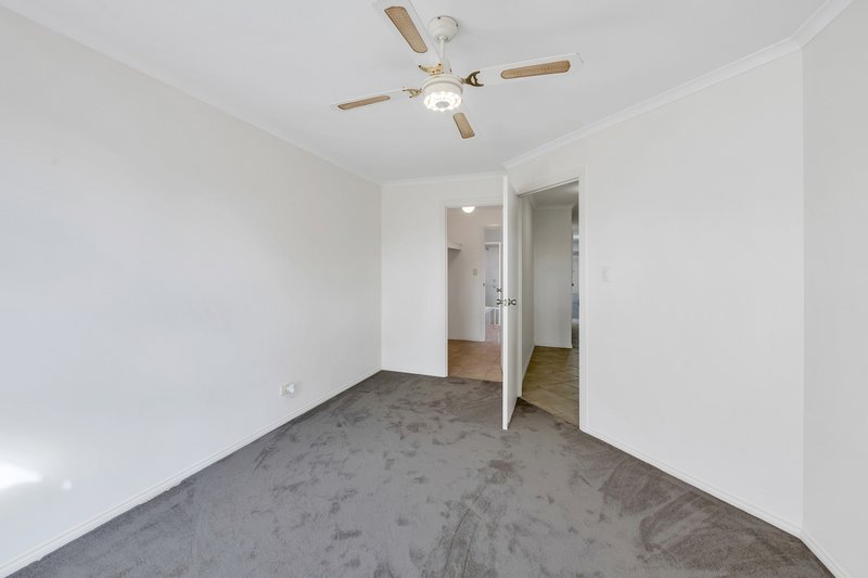 Photo - 13A Clansman Avenue, Windsor Gardens SA 5087 - Image 7