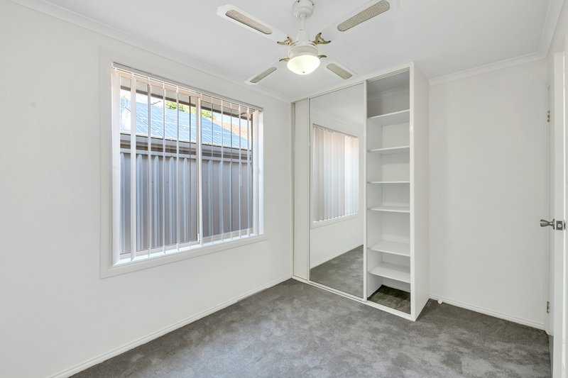Photo - 13A Clansman Avenue, Windsor Gardens SA 5087 - Image 11