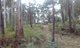 Photo - 13a Lavers Hill-Cobden Road, Kennedys Creek VIC 3239 - Image 3