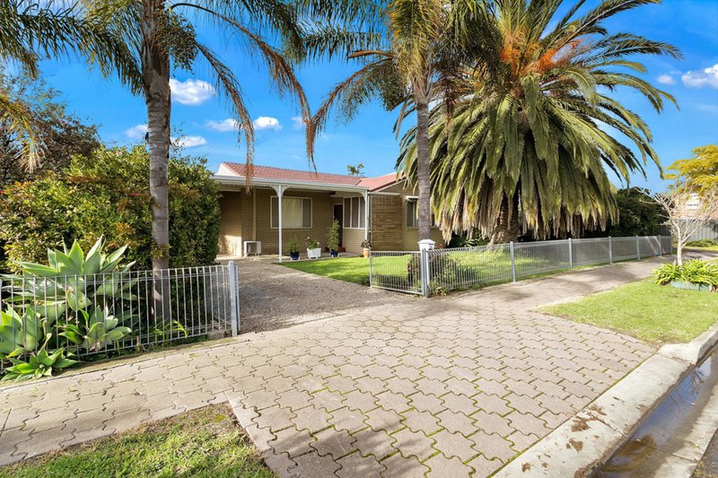 Photo - 14 Albion Street, Windsor Gardens SA 5087 - Image 11