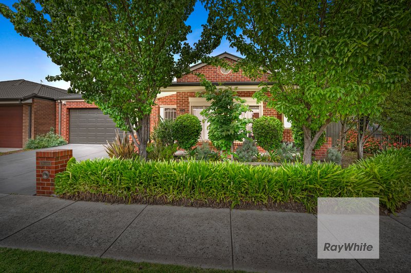 Photo - 14 Apricot Avenue, Mernda VIC 3754 - Image 2