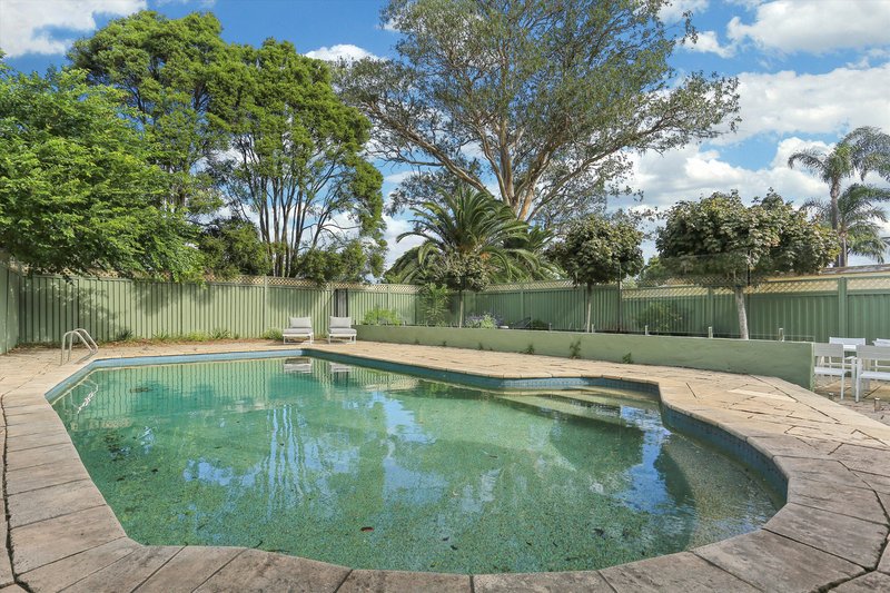Photo - 14 Argonne Street, North Strathfield NSW 2137 - Image 24