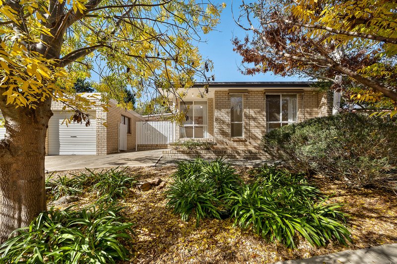 Photo - 14 Attunga Street, Ngunnawal ACT 2913 - Image 4
