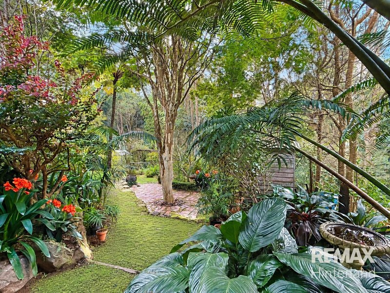 Photo - 14 Beech Street, Maleny QLD 4552 - Image 24