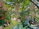 Photo - 14 Beech Street, Maleny QLD 4552 - Image 24