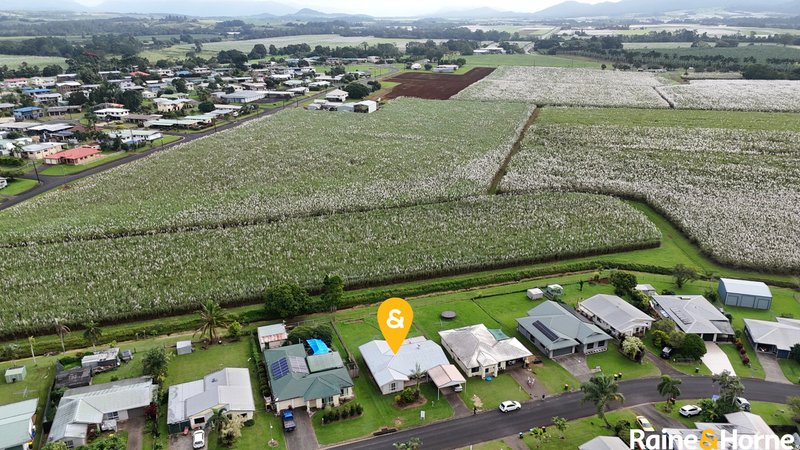 Photo - 14 Bello Drive, Belvedere QLD 4860 - Image 1