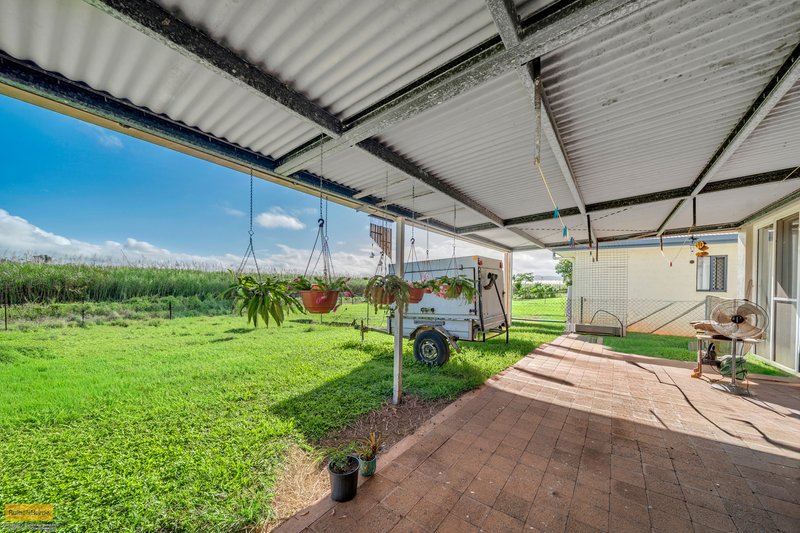 Photo - 14 Bello Drive, Belvedere QLD 4860 - Image 17