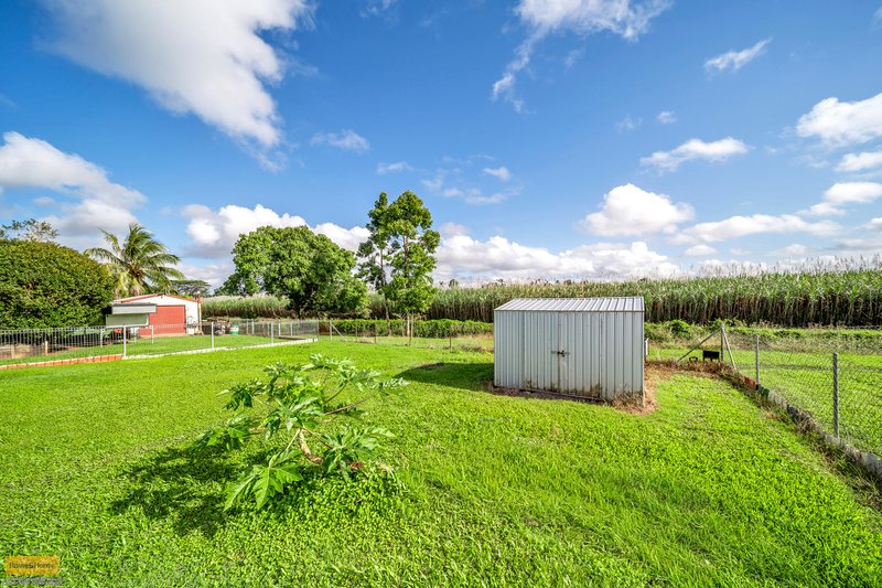 Photo - 14 Bello Drive, Belvedere QLD 4860 - Image 18