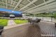 Photo - 14 Blackbutt Parade, Kotara South NSW 2289 - Image 16