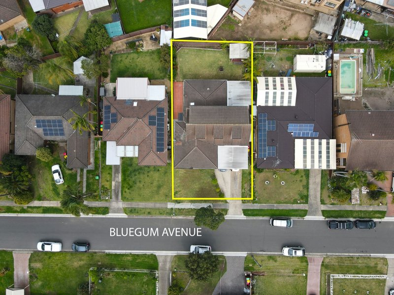 Photo - 14 Bluegum Avenue, Prestons NSW 2170 - Image 13