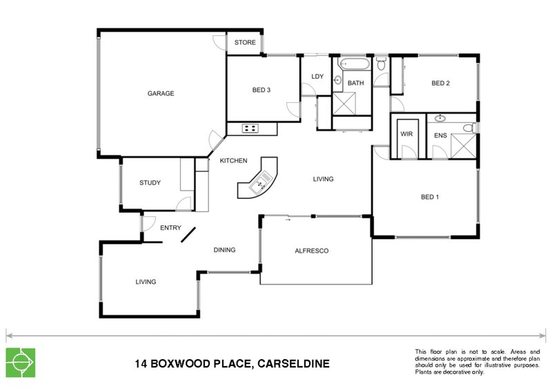 Photo - 14 Boxwood Place, Carseldine QLD 4034 - Image 13