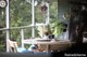 Photo - 14 Brooks Lane, Kangaroo Valley NSW 2577 - Image 13