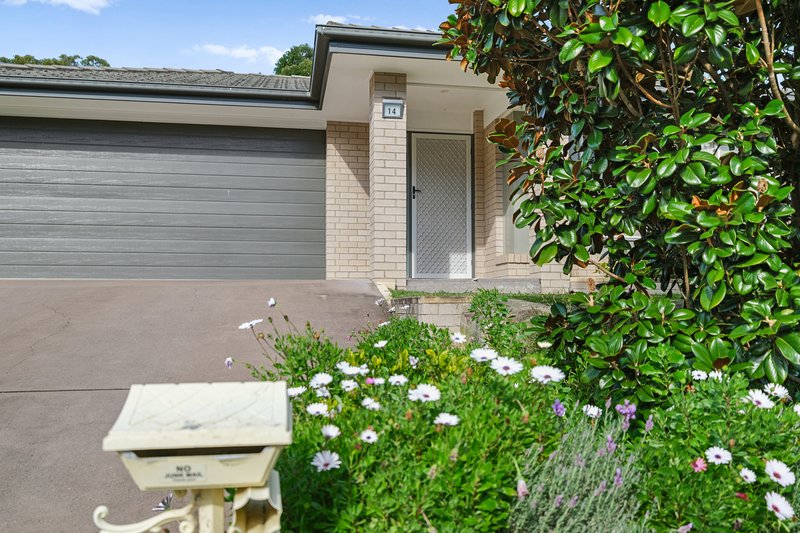 Photo - 14 Brushbox Road, Cooranbong NSW 2265 - Image 19