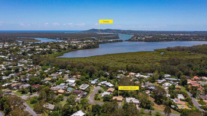 Photo - 14 Butler Street, Tewantin QLD 4565 - Image 14