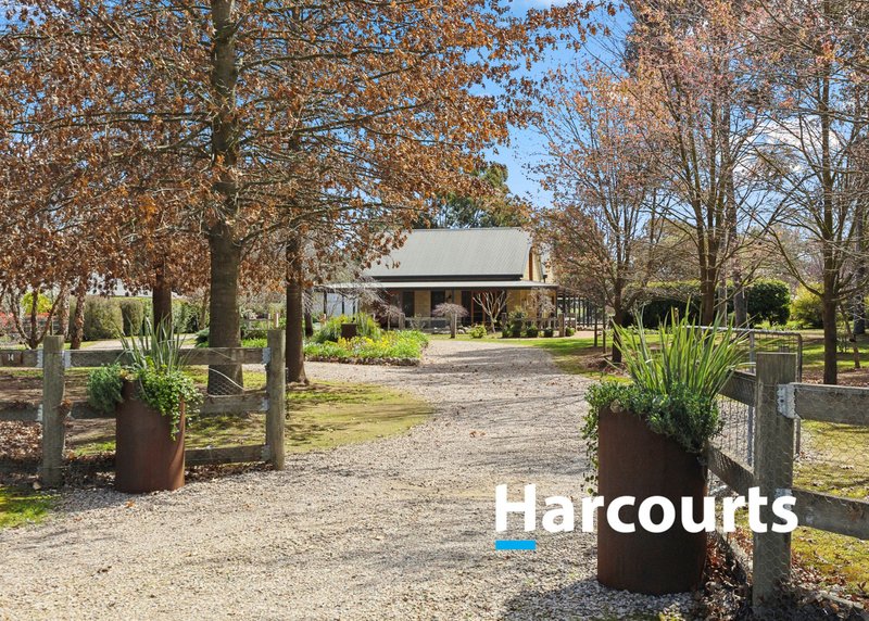 Photo - 14 Cabernet Court, Milawa VIC 3678 - Image 1