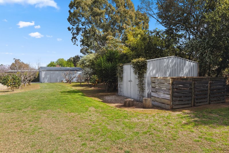 Photo - 14 Cabernet Court, Milawa VIC 3678 - Image 18