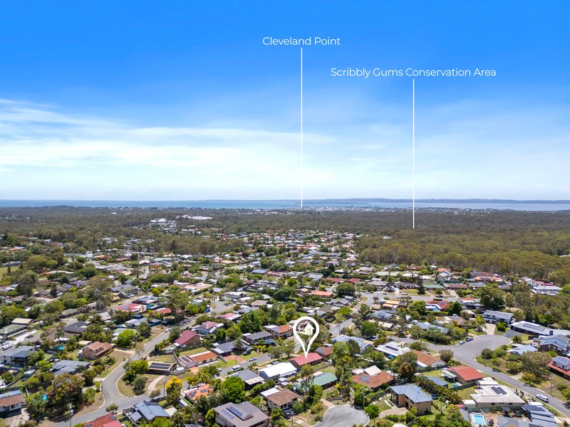 Photo - 14 Canterbury Street, Alexandra Hills QLD 4161 - Image 15