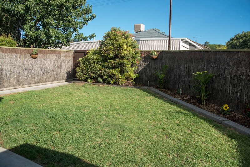 Photo - 1/4 Carey Street, Magill SA 5072 - Image 3