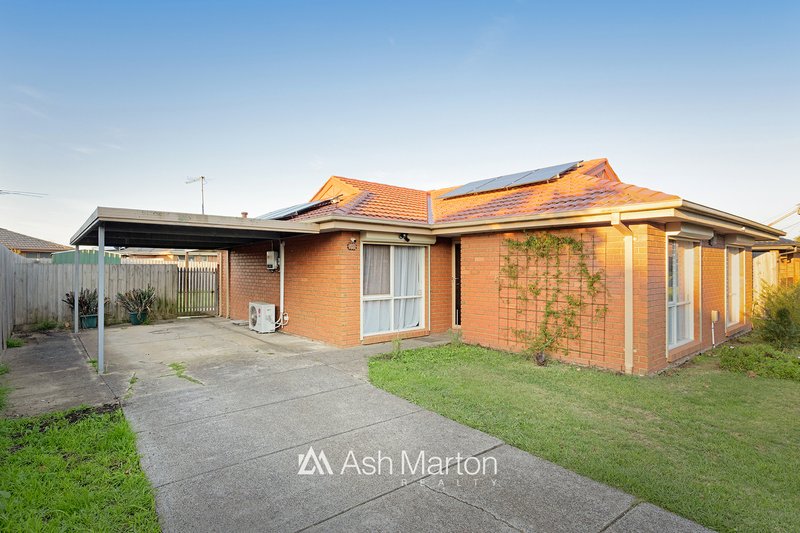 Photo - 14 Caroline Crescent, Cranbourne West VIC 3977 - Image 1