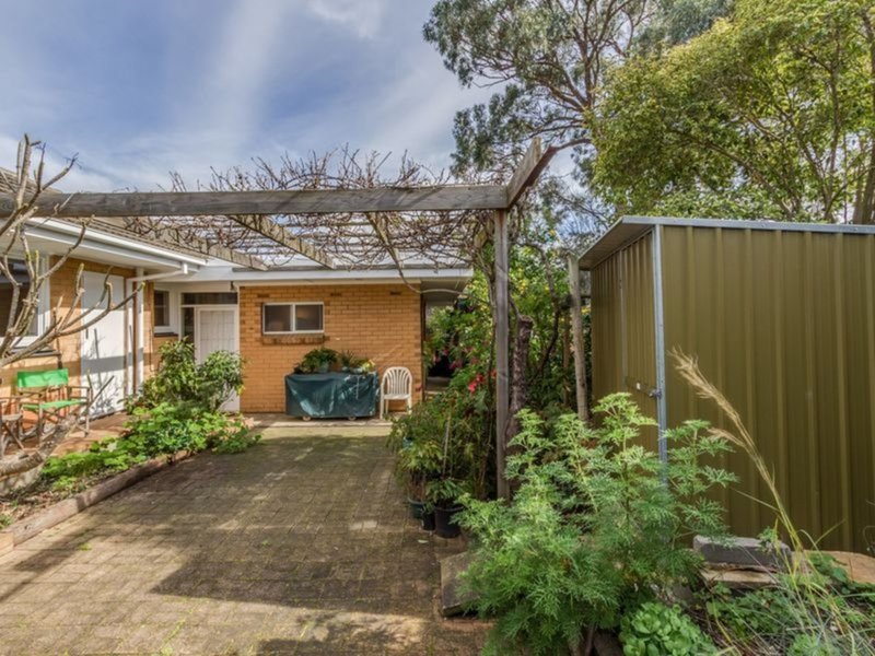 Photo - 14 Carunta Street, Wattle Park SA 5066 - Image 12