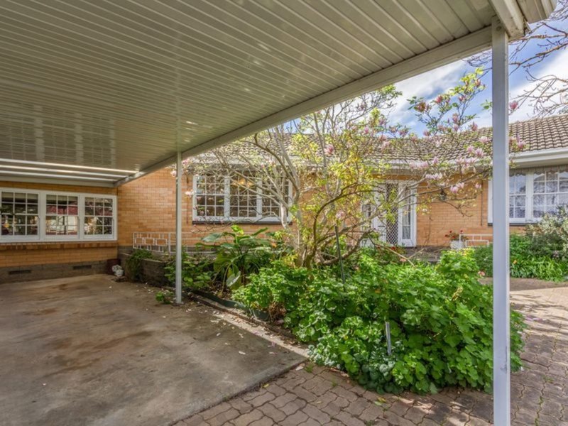 Photo - 14 Carunta Street, Wattle Park SA 5066 - Image 13