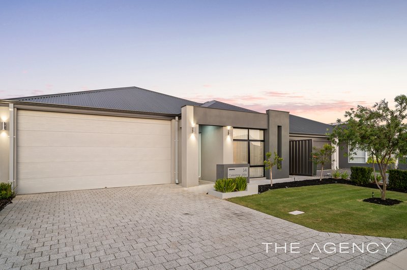 Photo - 14 Celestine Way, Treeby WA 6164 - Image 30