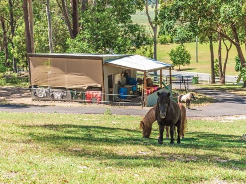 Photo - 14 Chants Road, Valdora QLD 4561 - Image 10