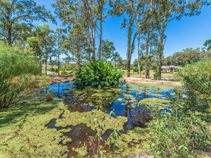 Photo - 14 Chants Road, Valdora QLD 4561 - Image 11