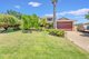 Photo - 14 Clifton Gardens, Kallaroo WA 6025 - Image 30