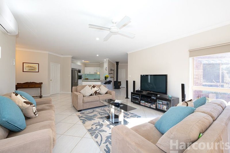 Photo - 14 Cobea Court, Bongaree QLD 4507 - Image 4