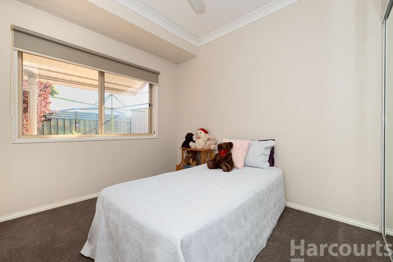 Photo - 14 Cobea Court, Bongaree QLD 4507 - Image 11