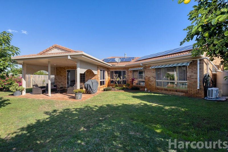 Photo - 14 Cobea Court, Bongaree QLD 4507 - Image 15