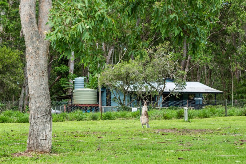 Photo - 14 Condon Road, Tumoulin QLD 4888 - Image 17