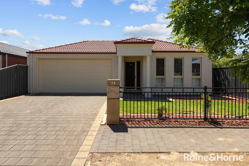 14 Coonawarra Avenue, Andrews Farm SA 5114