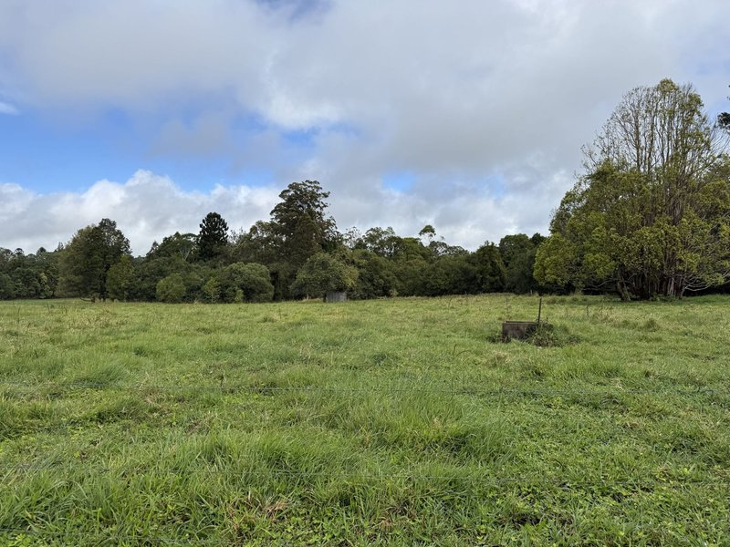 Photo - 14 Croft Road, Malanda QLD 4885 - Image 30