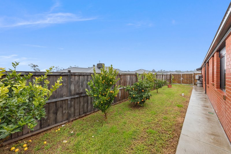 Photo - 14 Cyathea Street, Drouin VIC 3818 - Image 20