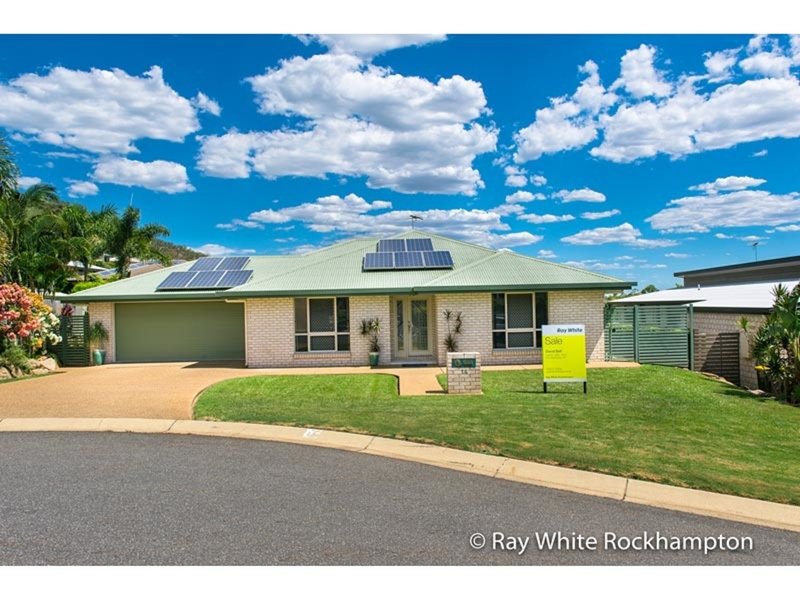 14 Cycad Court, Norman Gardens QLD 4701
