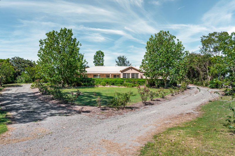 Photo - 14 Cypress Grove, Aberglasslyn NSW 2320 - Image 18