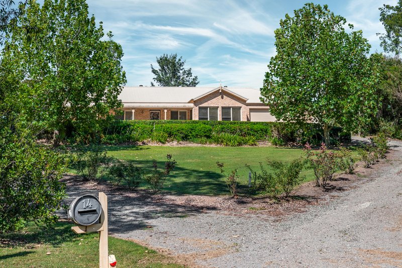 Photo - 14 Cypress Grove, Aberglasslyn NSW 2320 - Image 19