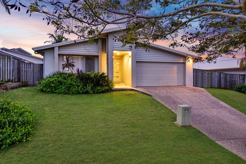 14 Daintree Drive, Coomera QLD 4209