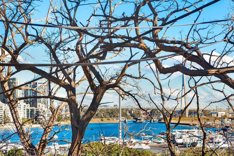 Photo - 14 Datchett Street, Balmain East NSW 2041 - Image 8