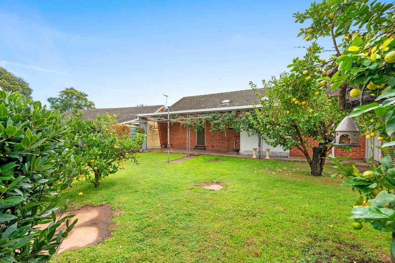 Photo - 14 Day Avenue, Rostrevor SA 5073 - Image 27