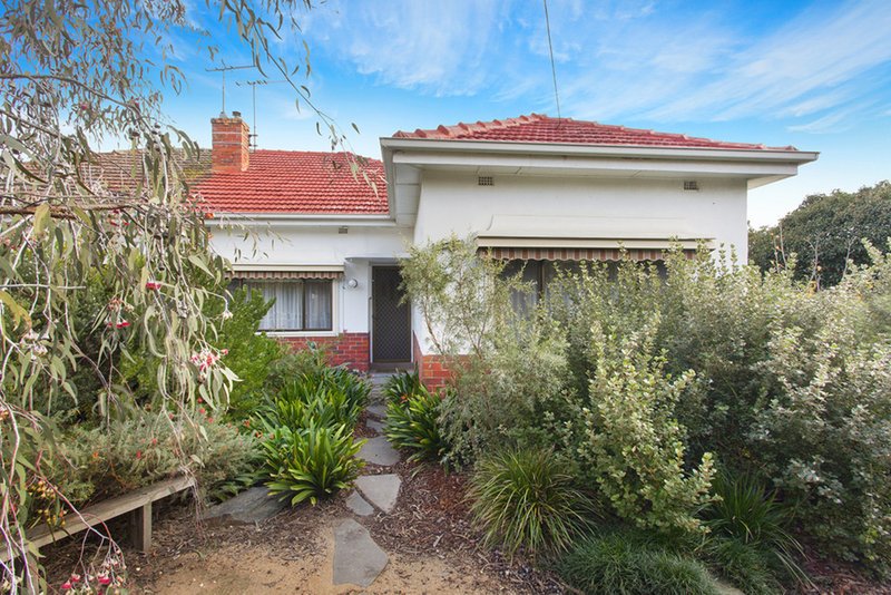 14 Doris Street, Murrumbeena VIC 3163