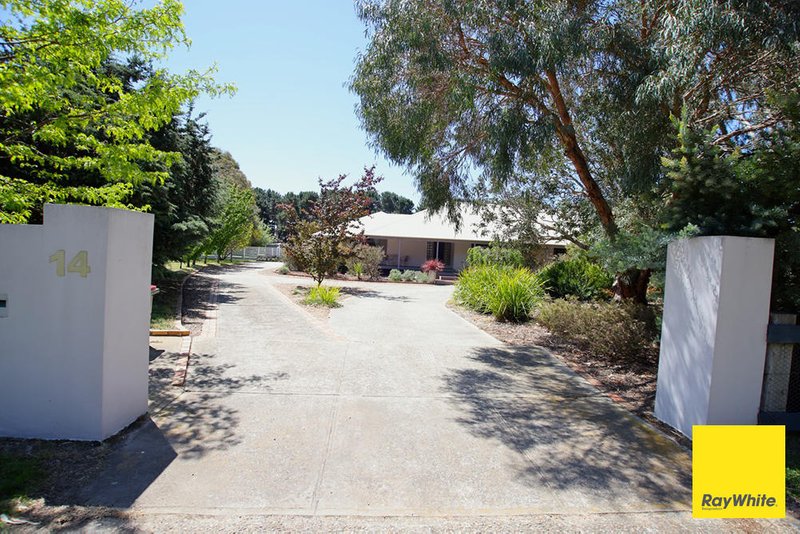 Photo - 14 Elmslea Drive, Bungendore NSW 2621 - Image 26