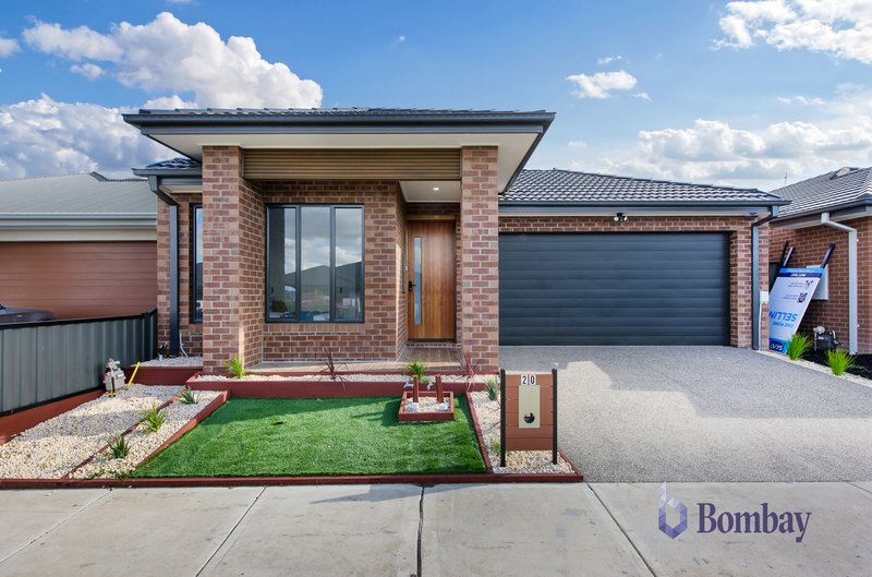 14. Erasmus Avenue, Craigieburn VIC 3064