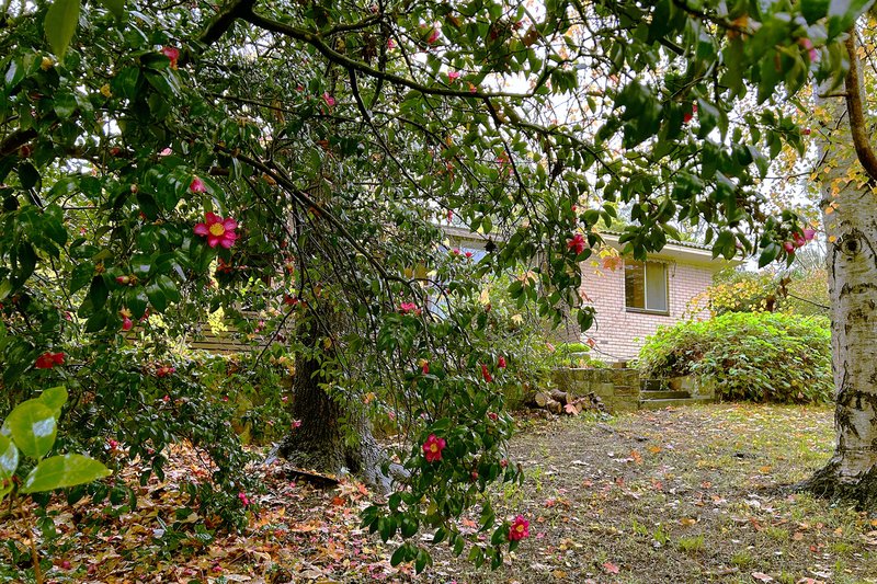 Photo - 14 Ethel Street, Stirling SA 5152 - Image 22