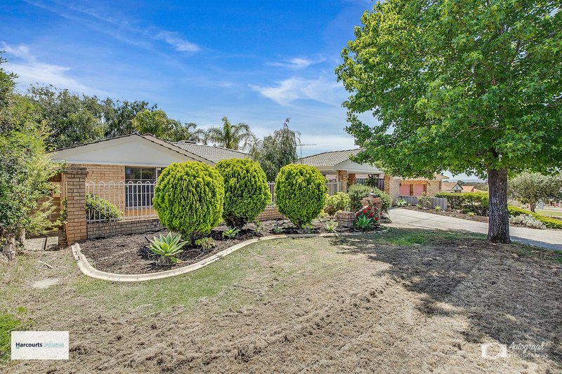 Photo - 14 Feathertop Rise, Alexander Heights WA 6064 - Image 3