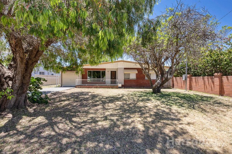 Photo - 14 Flavia Street, Falcon WA 6210 - Image 1