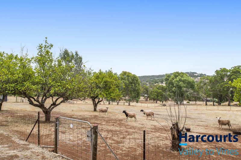 Photo - 14 Forrest Hills Parade, Bindoon WA 6502 - Image 28