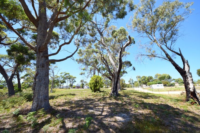 Photo - 14 Fox Avenue, White Beach TAS 7184 - Image 6